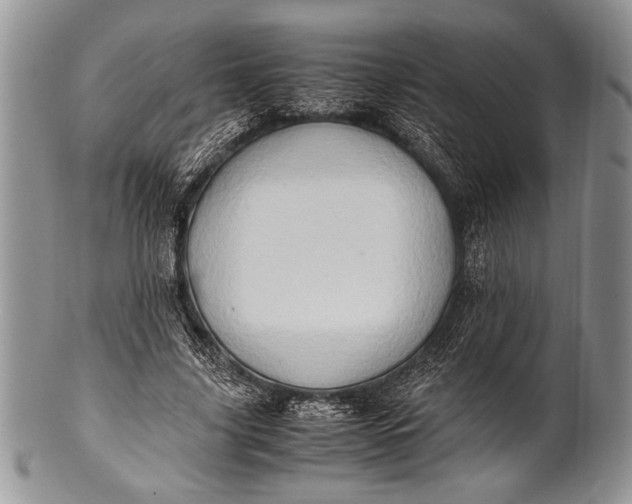 X0000100350635200806201542