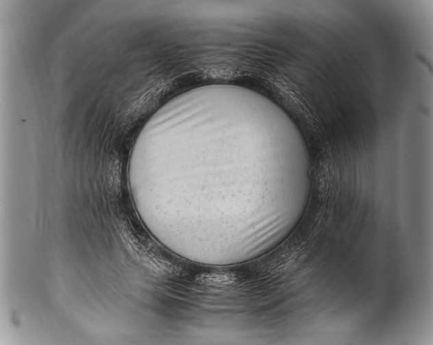 X0000100350639200806201542