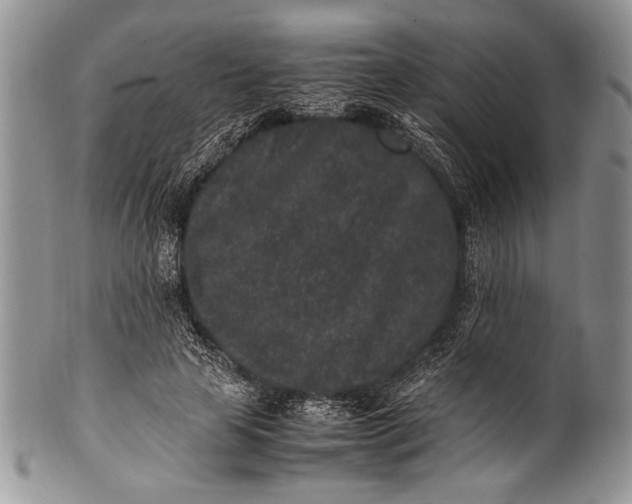 X0000100350641200806201542