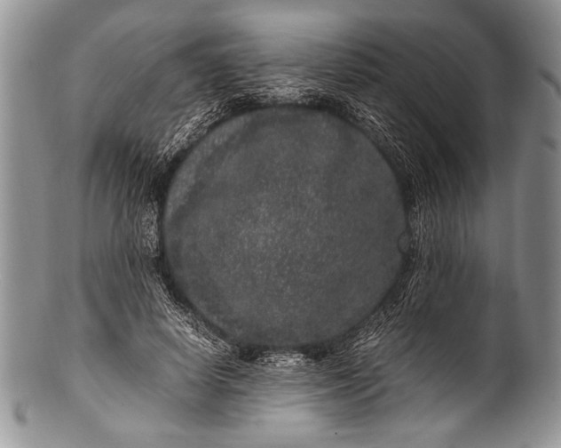 X0000100350642200806201542
