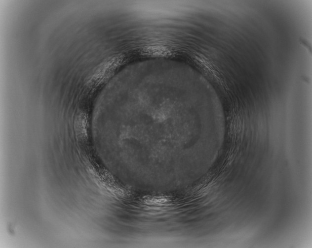 X0000100350643200806201542