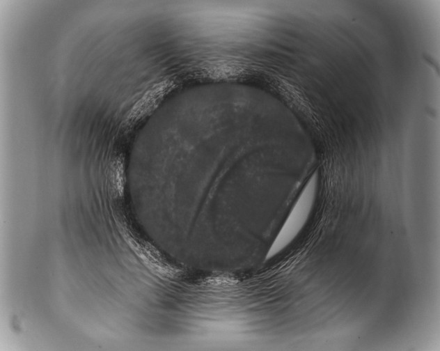 X0000100350644200806201542