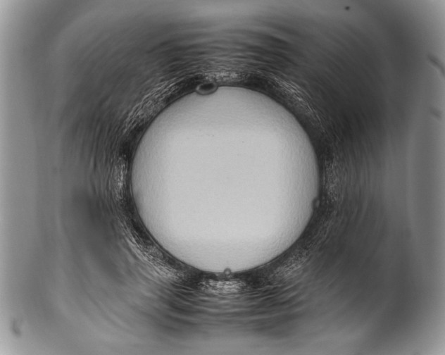 X0000100350645200806201542