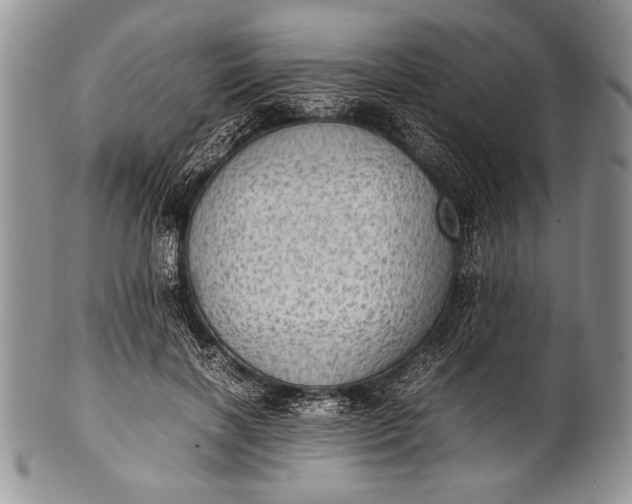 X0000100350646200806201542