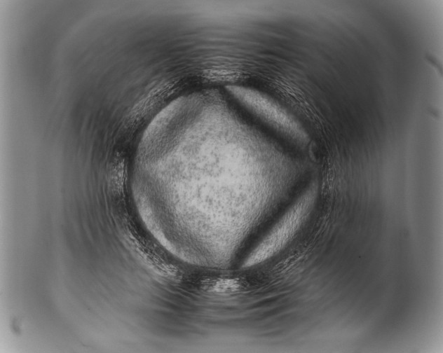 X0000100350647200806201542
