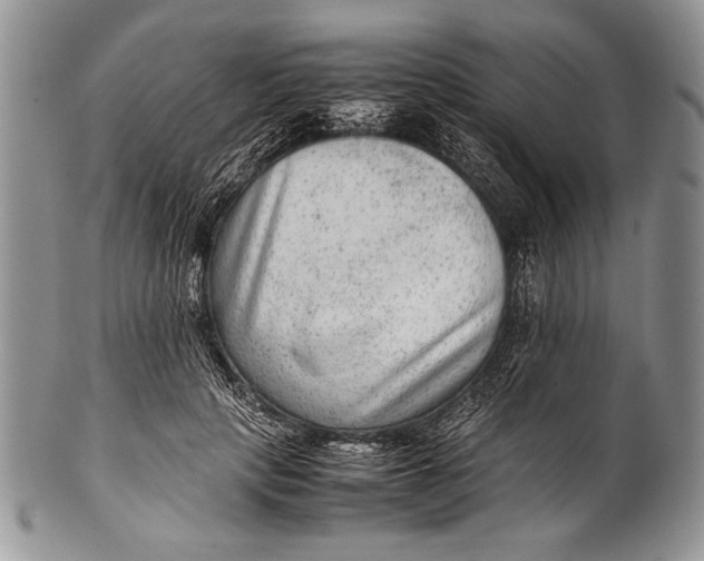 X0000100350649200806201542
