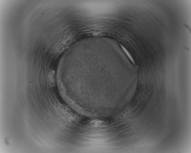 X0000100350650200806201542