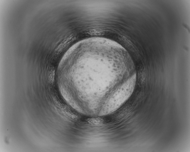 X0000100350652200806201542
