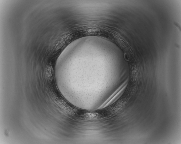 X0000100350654200806201542