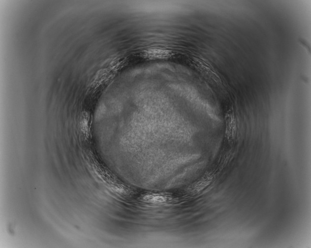 X0000100350655200806201542