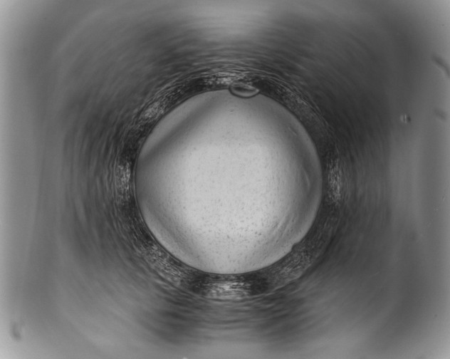 X0000100350657200806201542