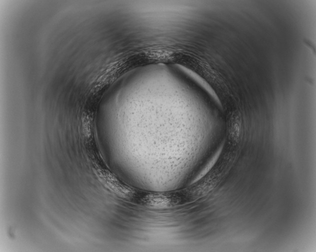 X0000100350658200806201542