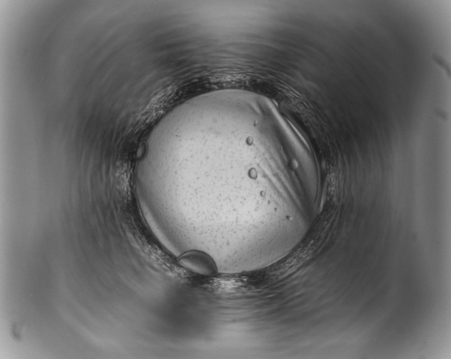X0000100350662200806201542