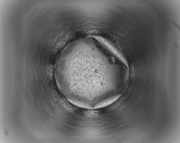 X0000100350664200806201542