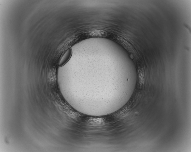 X0000100350665200806201542