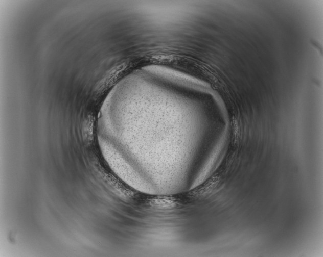 X0000100350668200806201543