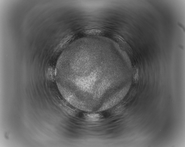 X0000100350669200806201543