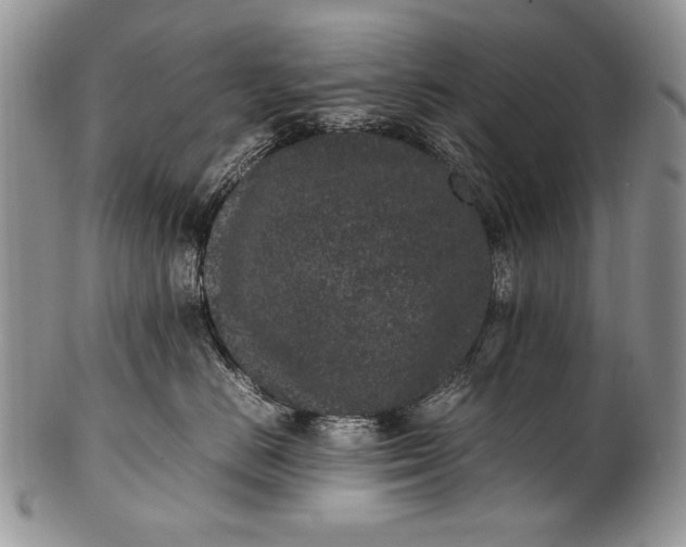 X0000100350670200806201543