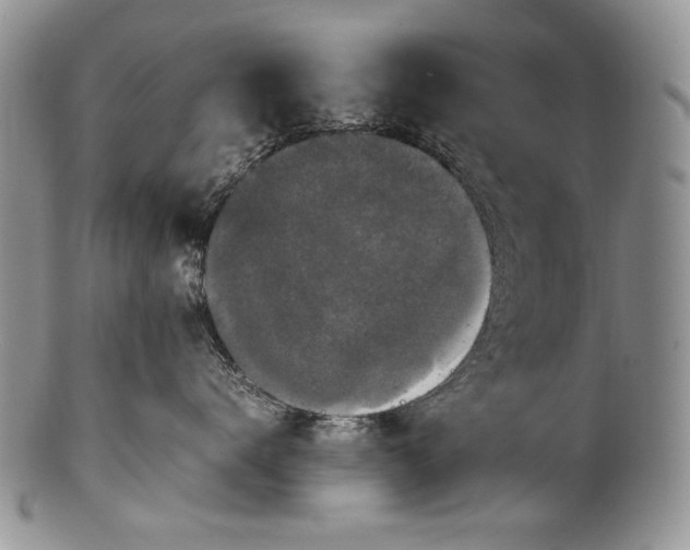 X0000100350672200806201543