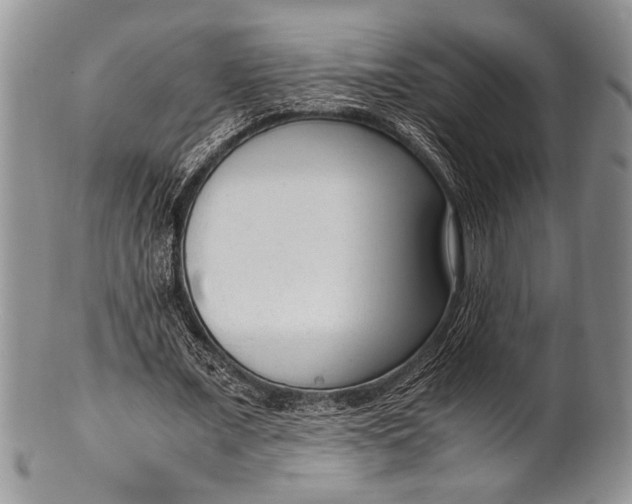 X0000100350675200806201542