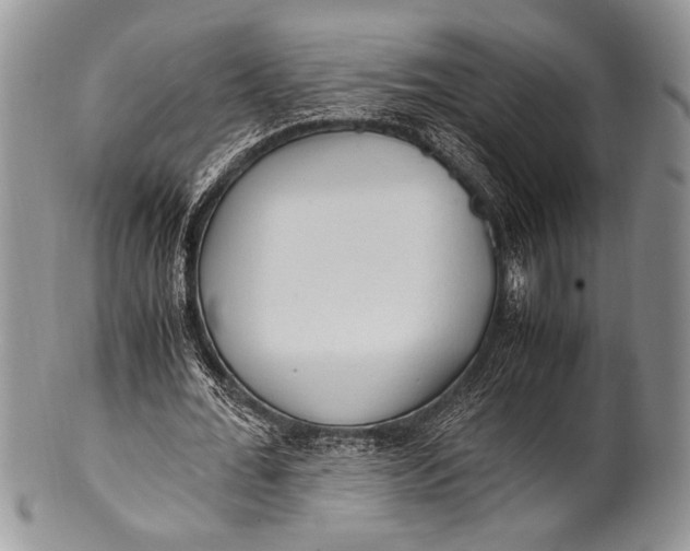 X0000100350676200806201542