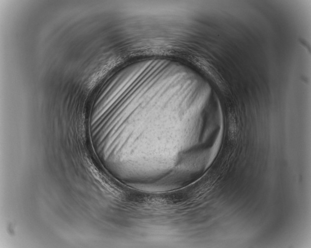 X0000100350677200806201542