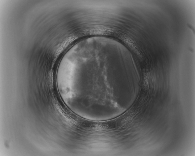 X0000100350678200806201542
