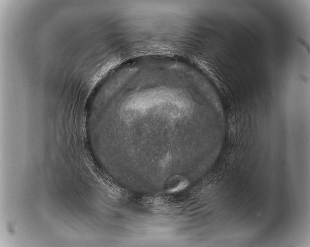 X0000100350679200806201542