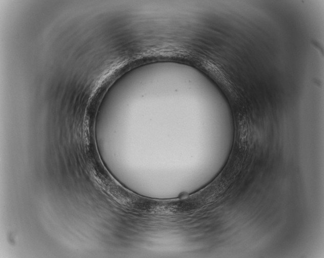 X0000100350680200806201542