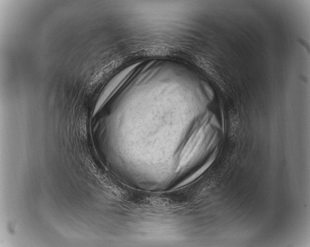 X0000100350681200806201542