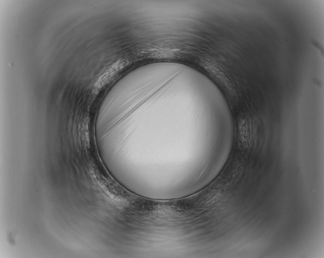 X0000100350682200806201542
