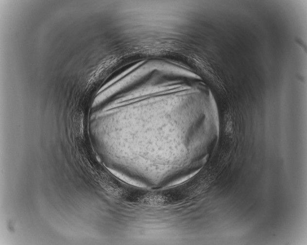 X0000100350685200806201542