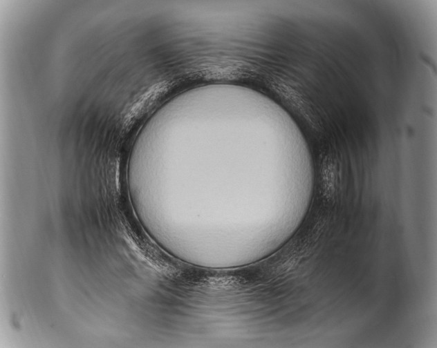 X0000100350686200806201542