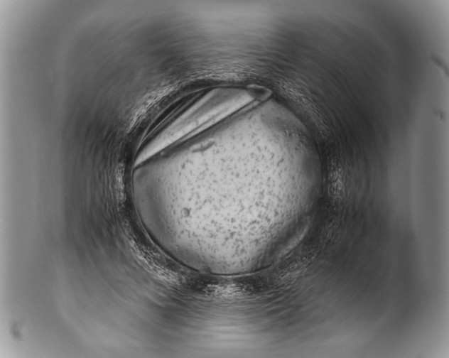 X0000100350688200806201542