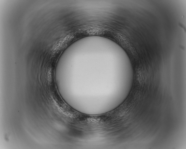 X0000100350690200806201541