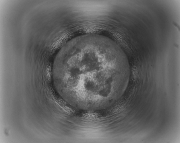 X0000100350691200806201541