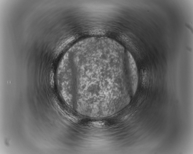 X0000100350692200806201541