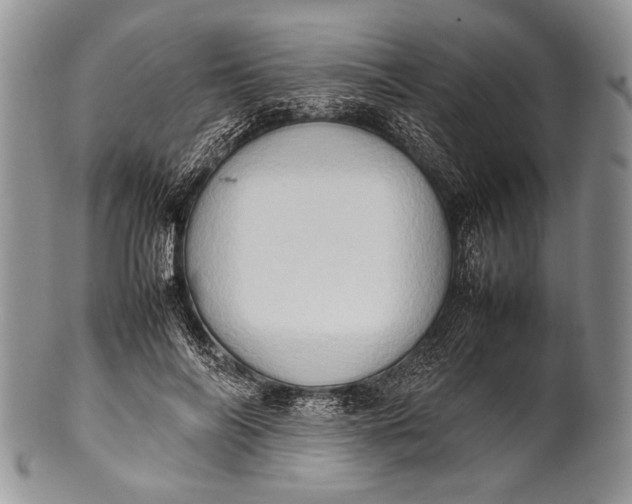 X0000100350694200806201541