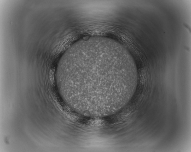 X0000100350695200806201541