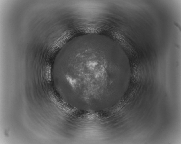 X0000100350696200806201541