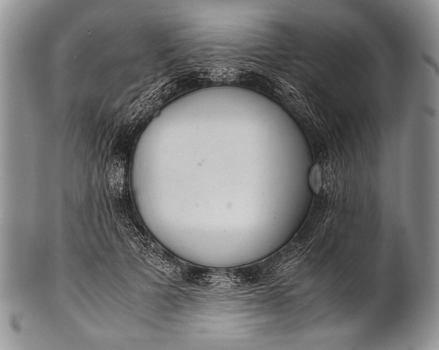 X0000100350697200806201541