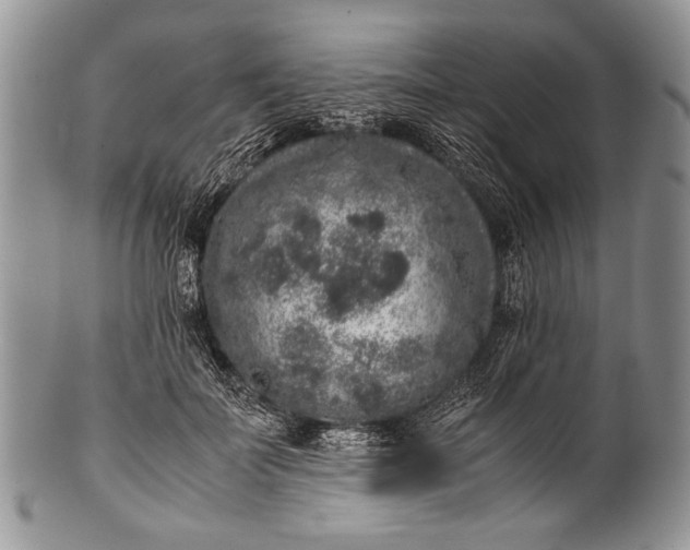 X0000100350699200806201541