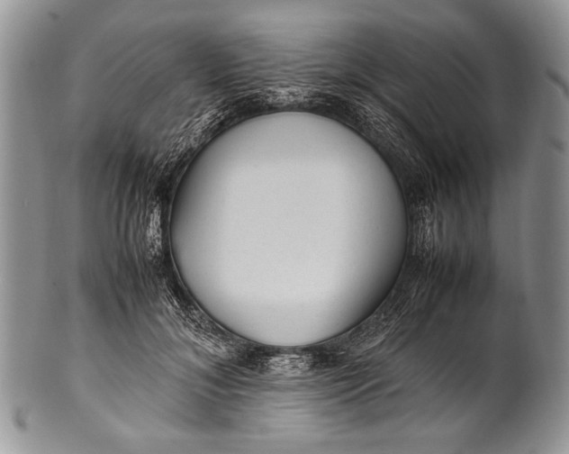 X0000100350700200806201541