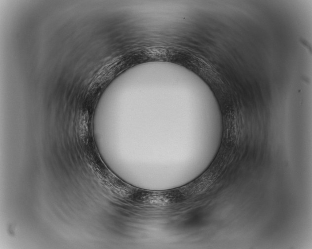 X0000100350702200806201541