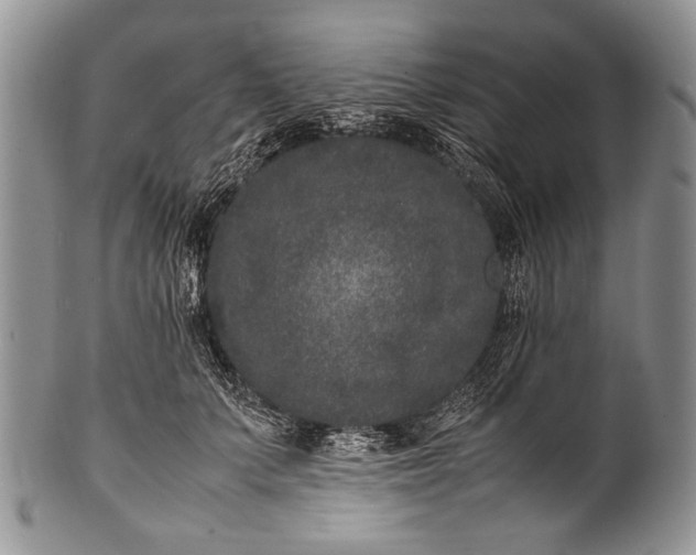 X0000100350703200806201541