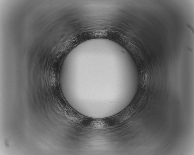 X0000100350704200806201541
