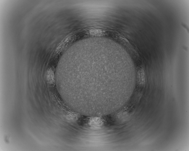 X0000100350705200806201541