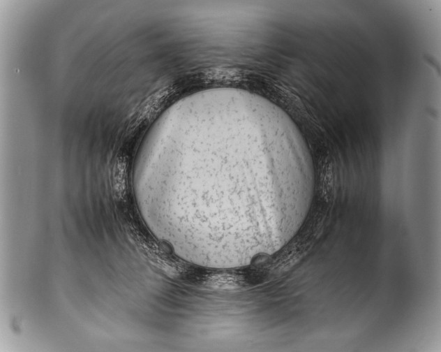 X0000100350708200806201541