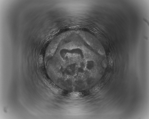 X0000100350711200806201541