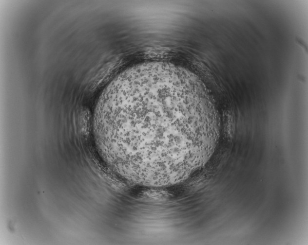 X0000100350712200806201541